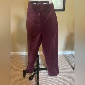ANNE TAYLOR PETITE MAROON Suede women’s pants